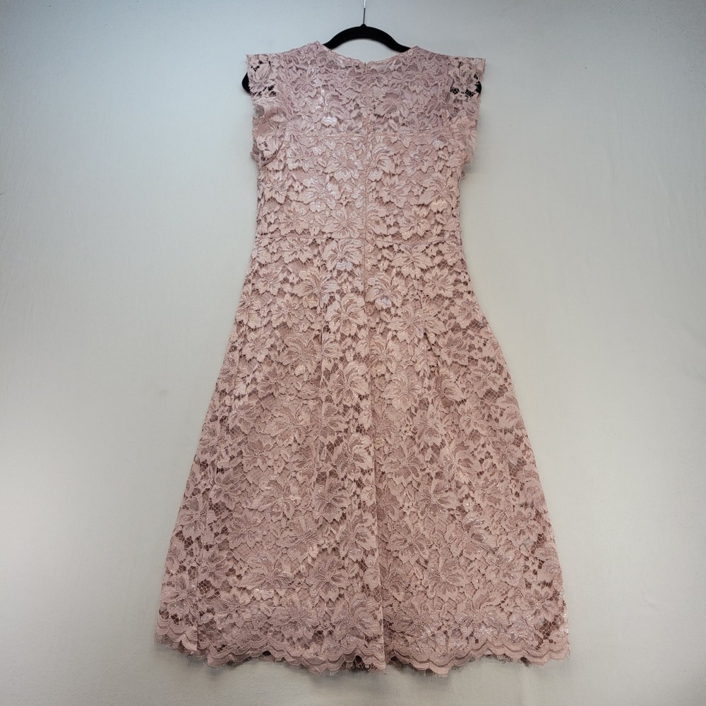 Layer8 Lace Dress Womens Large Pink Floral A-Line Coquette Tulle Balletcore